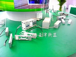 亞津傳感器秤 100t稱重磅與河南模塊秤的計算機軟硬件技術(shù)開發(fā)