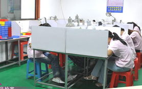 自動(dòng)車(chē)床與計(jì)算機(jī)軟硬件技術(shù)開(kāi)發(fā)的融合實(shí)踐——以東莞市長(zhǎng)安泓麟五金電子制品廠(chǎng)為例